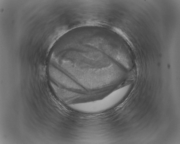 X0000067881260200605111816