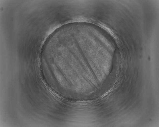 X0000067881264200605111816