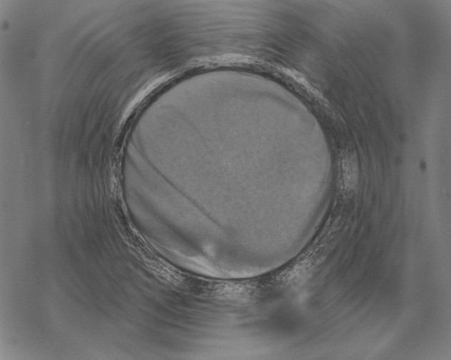 X0000067881266200605111816