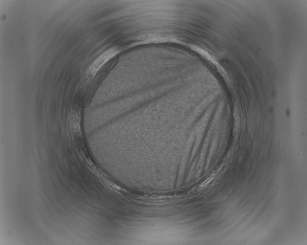 X0000067881273200605111816