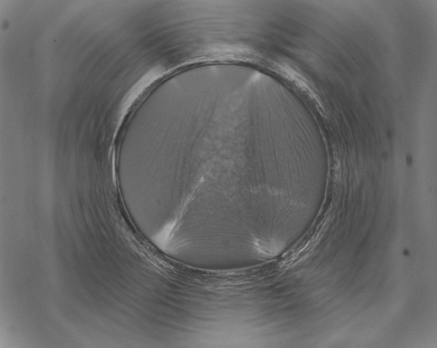 X0000067881275200605111816
