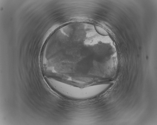 X0000067881283200605111815