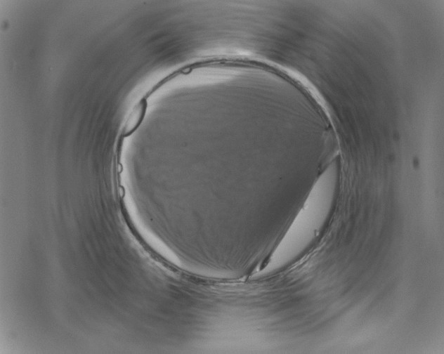 X0000067881295200605111815