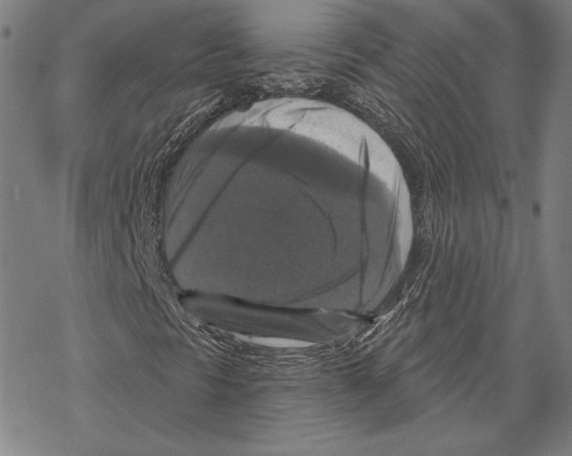 X0000067881297200605111814