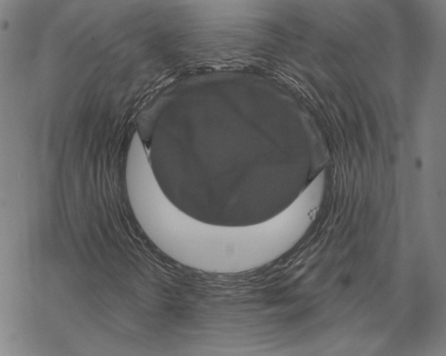 X0000067881298200605111815