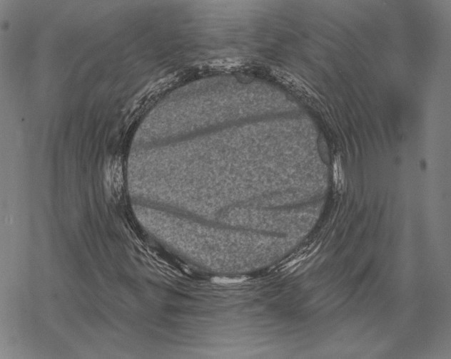 X0000067881299200605111815