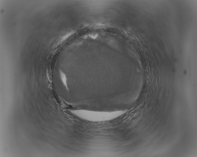 X0000067881301200605111815