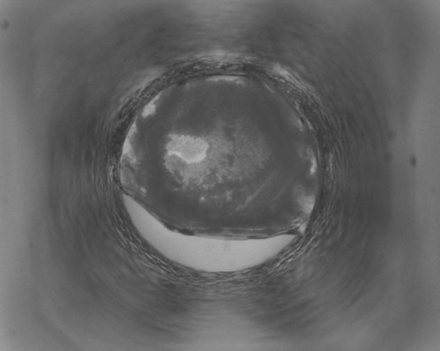 X0000067881302200605111815