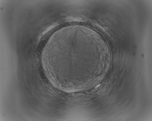 X0000067881303200605111815