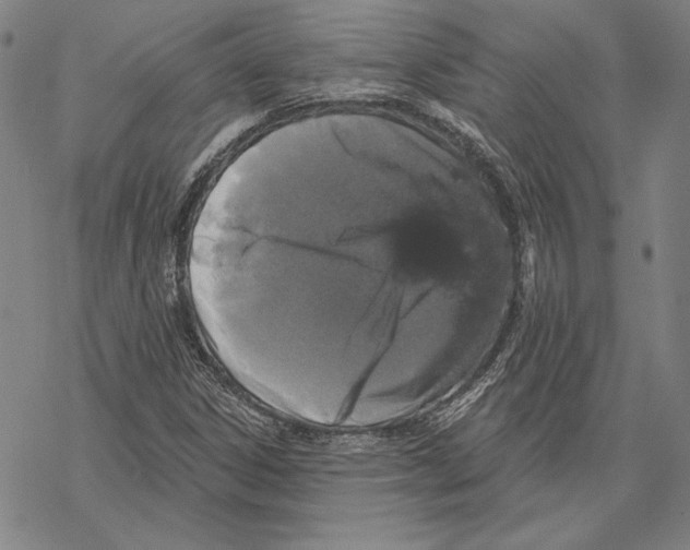 X0000067881306200605111815