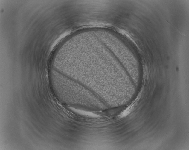X0000067881307200605111815