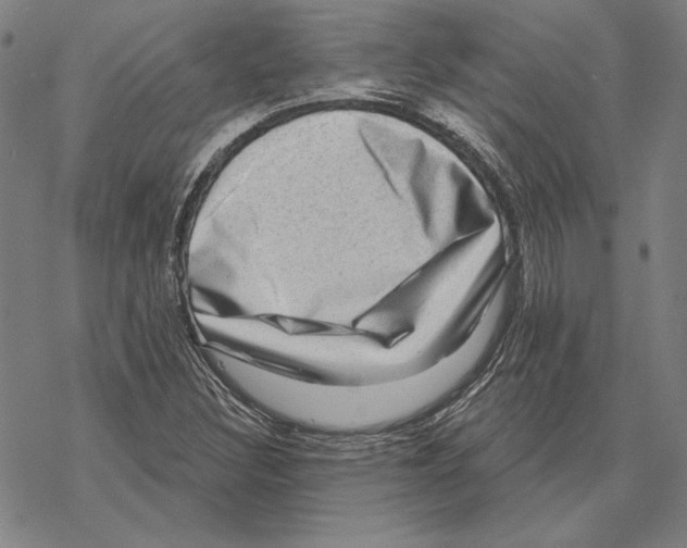 X0000067881308200605111815