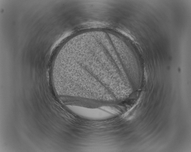 X0000067881309200605111815