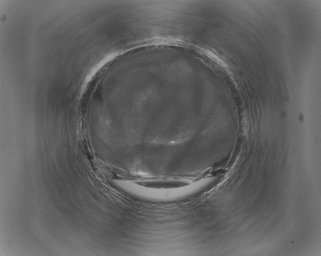 X0000067881310200605111815