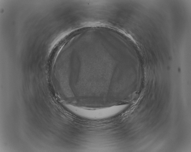 X0000067881311200605111815