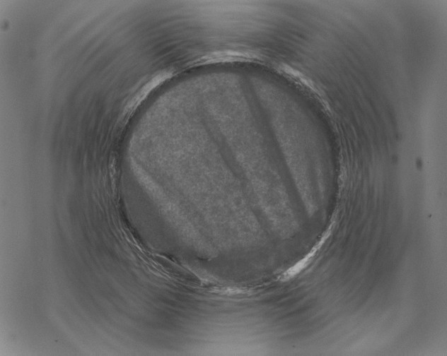 X0000067881313200605111815
