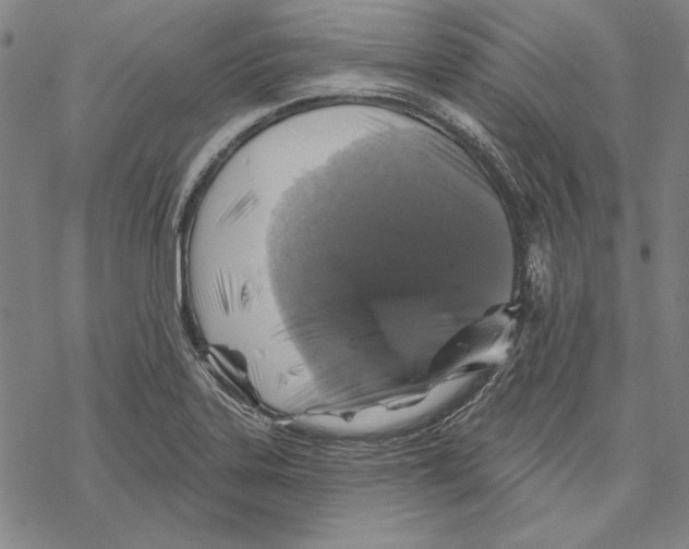 X0000067881323200605111815