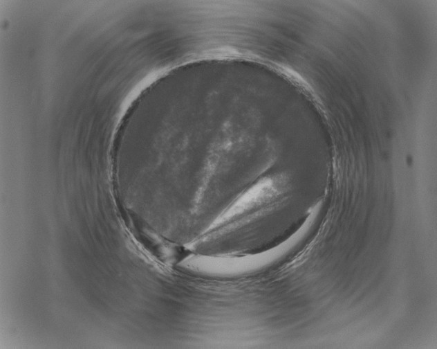 X0000067881326200605111815