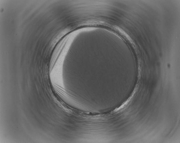 X0000067881329200605111815