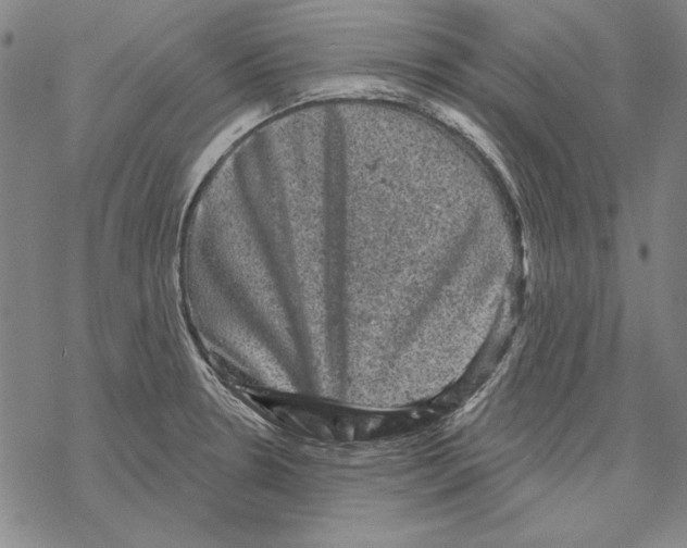 X0000067881330200605111815