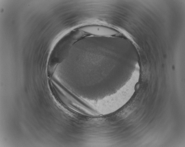X0000067881335200605111815