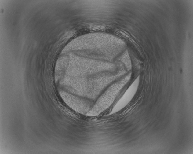 X0000067881345200605111814