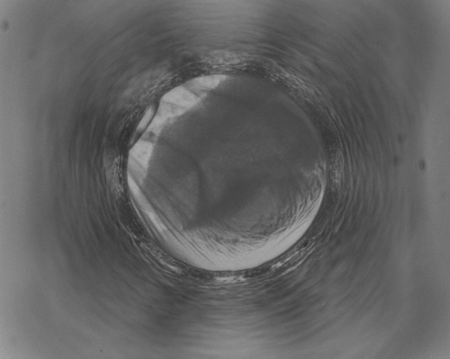 X0000067881346200605111814