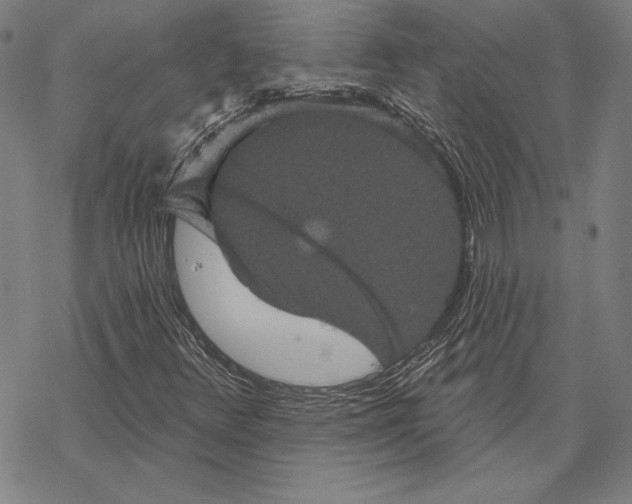 X0000067881348200605111814