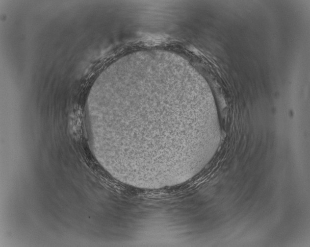 X0000067881349200605111814