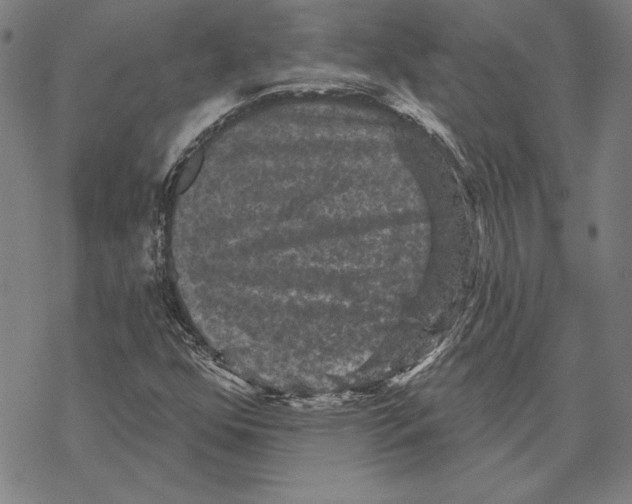 X0000067881352200605111814