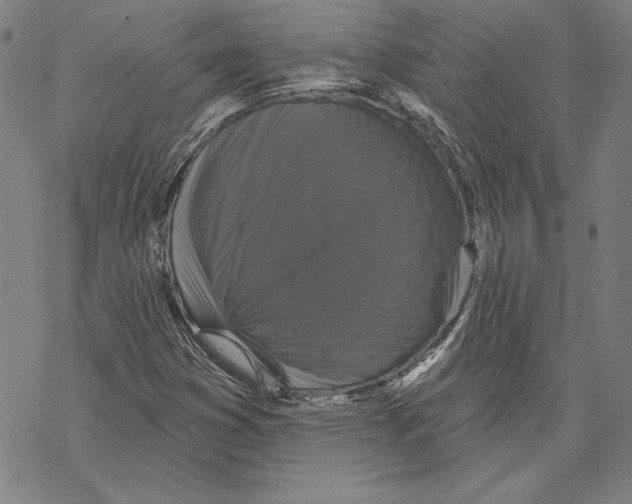 X0000067881353200605111814