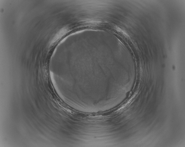 X0000067881354200605111814