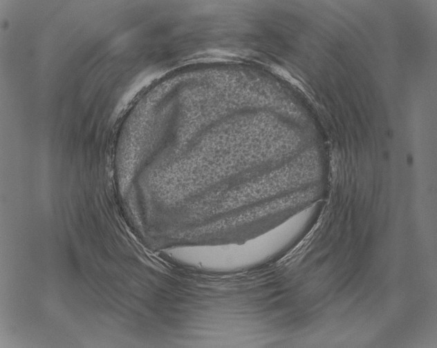 X0000067881355200605111814