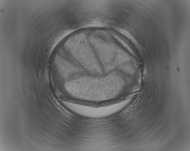 X0000067881356200605111814