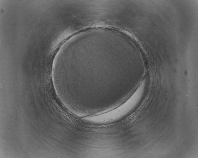 X0000067881359200605111814