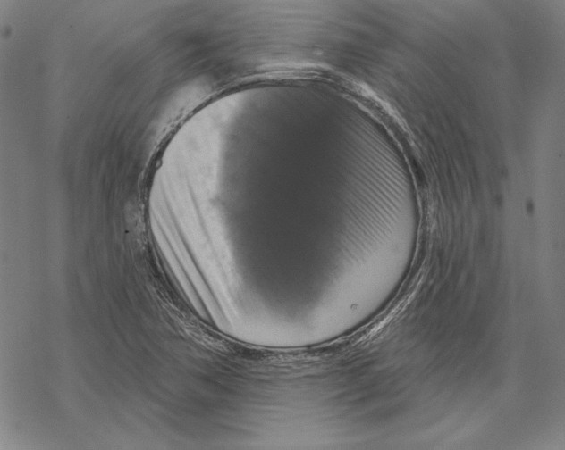 X0000067881362200605111814