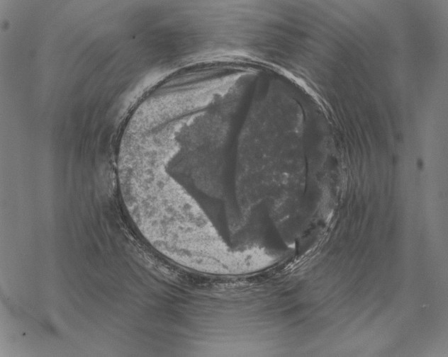 X0000067881363200605111814
