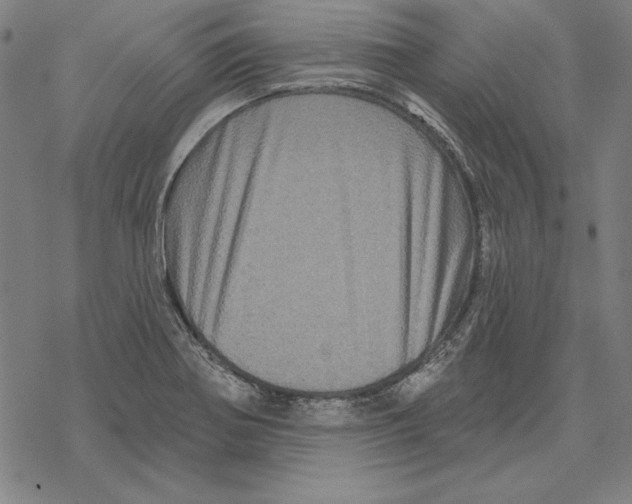 X0000067881370200605111814