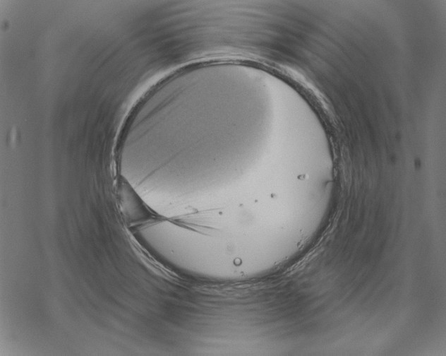 X0000067881372200605111814