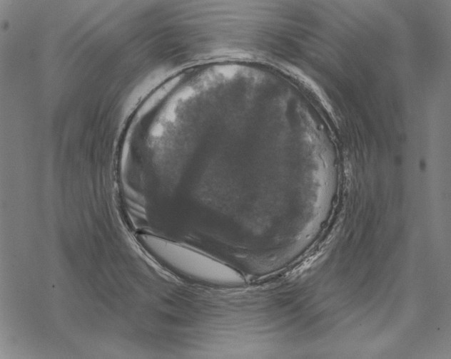 X0000067881373200605111814
