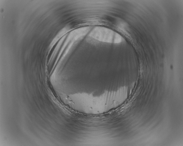 X0000067881378200605111814