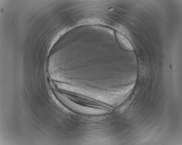 X0000067881382200605111814