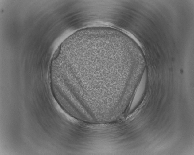 X0000067881387200605111814