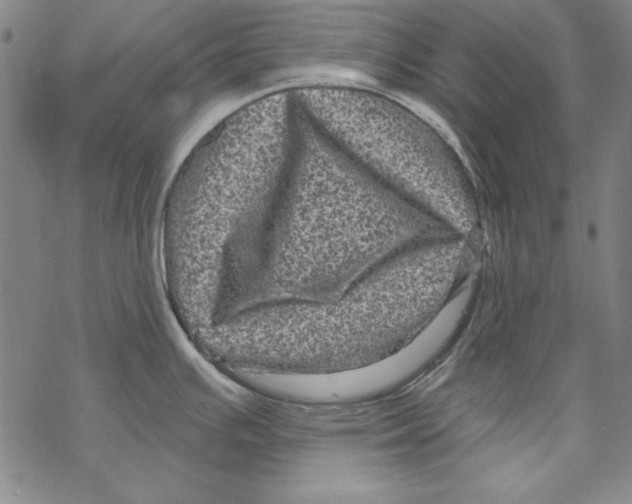 X0000067881391200605111814