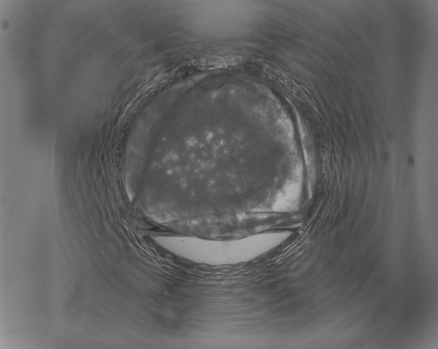 X0000067881393200605111813