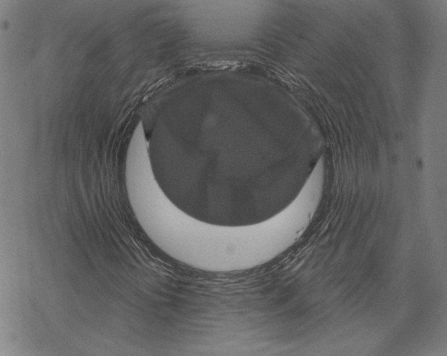 X0000067881394200605111813