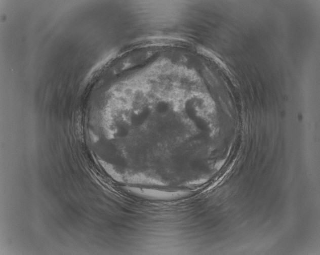 X0000067881403200605111813