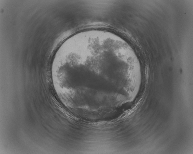 X0000067881405200605111813