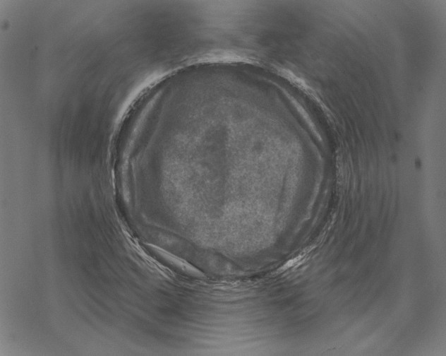 X0000067881408200605111813