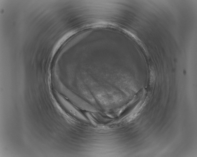 X0000067881418200605111813